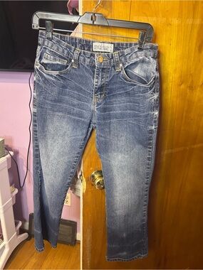 Y2K Baby Phat Jeans